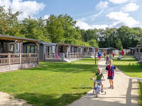Molecaten Park 't Hout - Opsterland